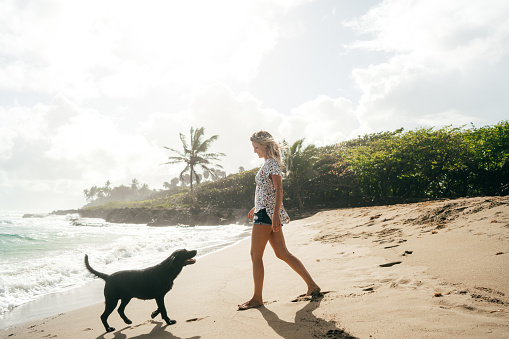 Happy woman walking with her dog at the beach on vacation without any children. Do you and your partner not sure whether you want to have any kids together? Relationship therapy can help with communication. Woodland Hills, CA 91335
91406 | 91405 | 91343