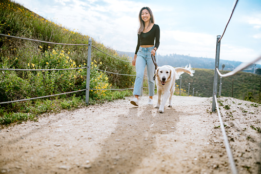 A young Asian woman is taking her Golden Retriever on a walk on a hiking trail. She is holding her dog on a leash as she smiles and walks along the path.