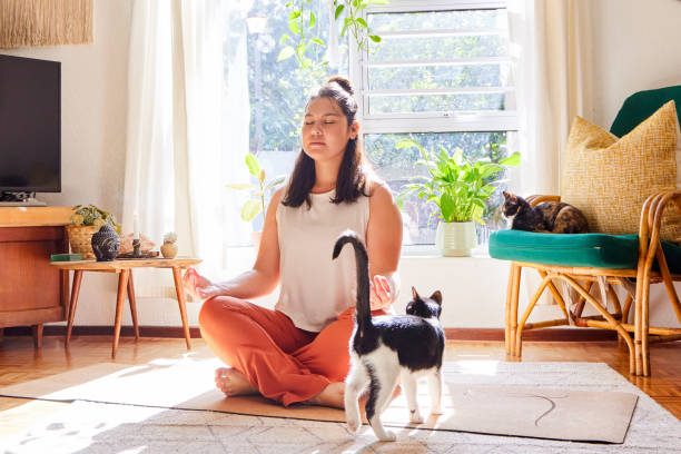 A young Asian American woman is sitting on a yoga mat in her living room. She is meditating as her cat walks past her.
