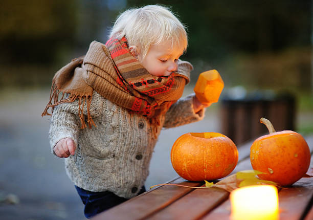 A young blonde boy is outside, wrapped up in a scarf. He is holding the top of a pumpkin as he looks into it.