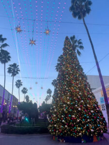 Christmas tree in Santa Monica US Decoration Connect with your teen