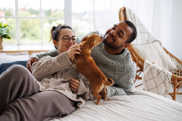 Smiling couple relaxing on a bed while playing with a small brown dog, enjoying a cozy moment together.