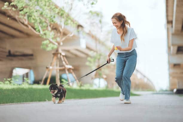 Young woman happily walking a small dog outdoors, enjoying exercise and a healthy daily routine.
